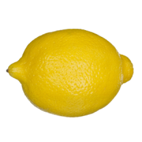 Le Magnétisme.