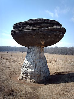 LES ROCHERS CHAMPIGNONS