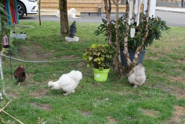 Copains de vacances