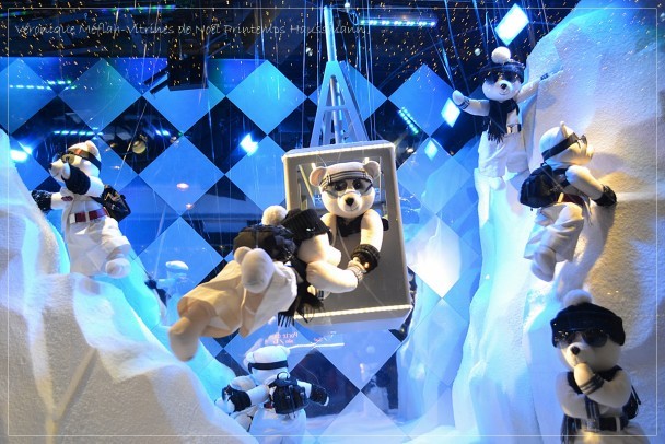 Vitrines Printemps Oursons neige 5