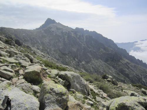 CORSE GR 20