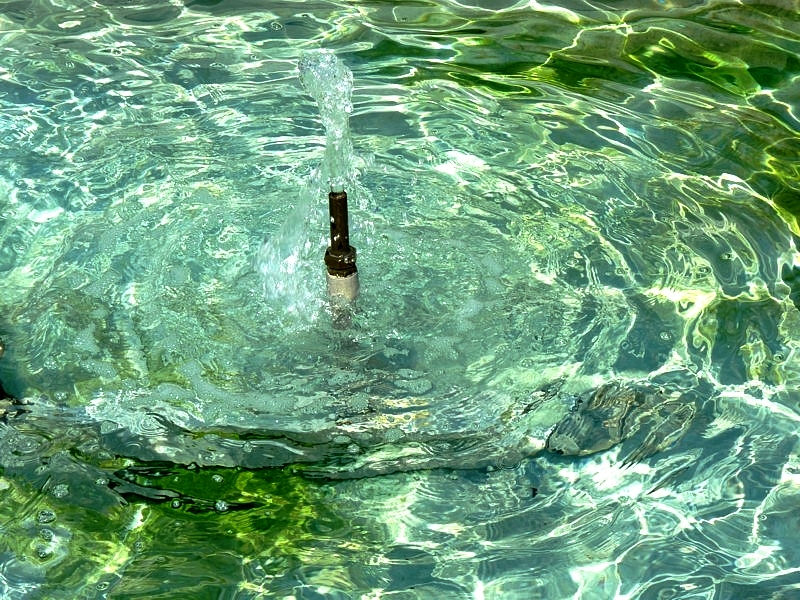Fontaines de Metz / La place Saint-Thiébault...