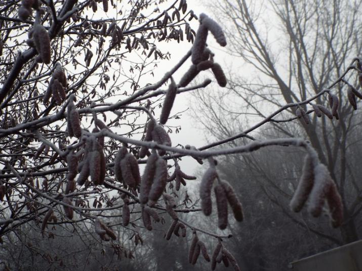 "l'hiver" ...  mais quel hiver ?