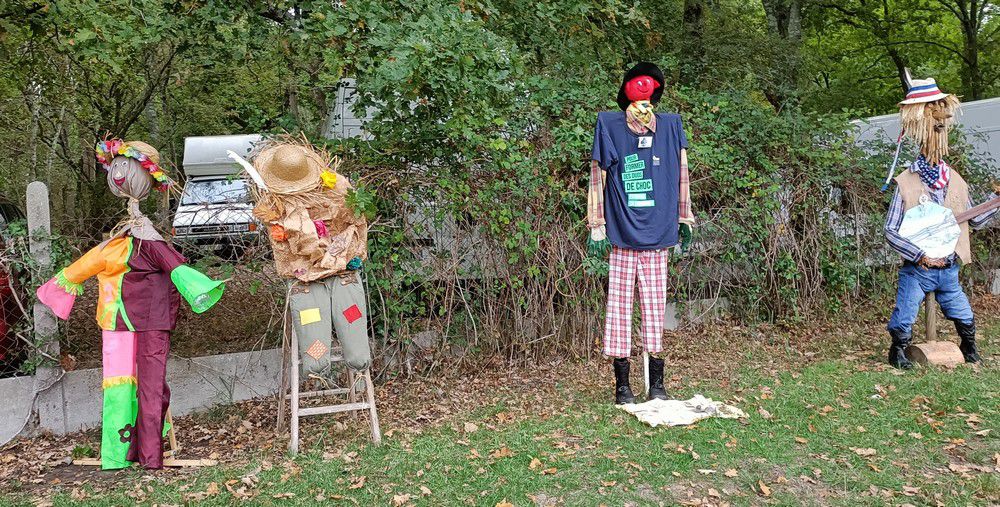 Fête de l'arbre et des plantes 2022...