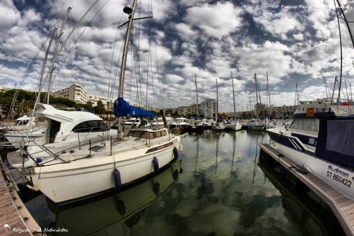 Port de Carnon
