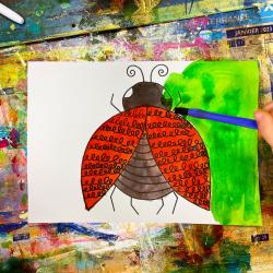 Coccinelle Graphisme