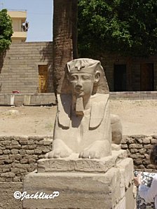 DSC04029luxormarq1