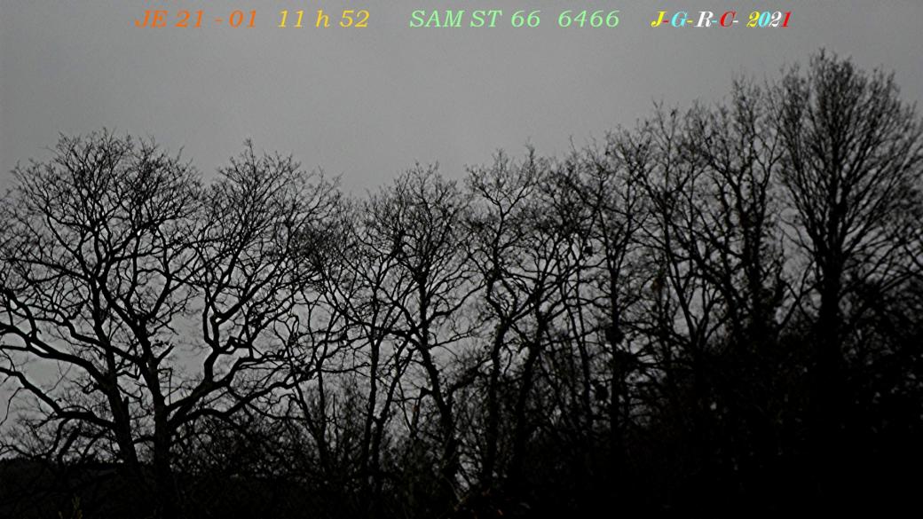 CIEL DE JOUR OU DE NUIT:  semaine  03  D  24-01-2021