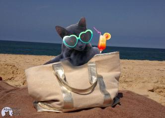 Mes idées futées pour une rentrée avec le sourire !