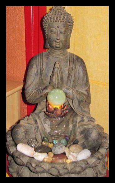 Tranches de vie d'un Australian Shepherd