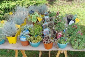 Fête des jardins Naturels 