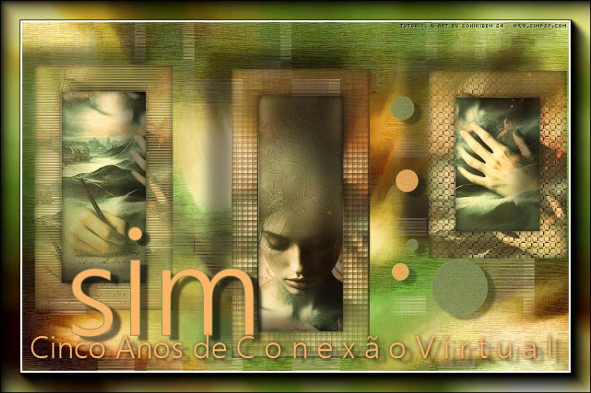 SIMS 5 ANOS