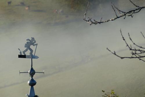 Dans la brume :