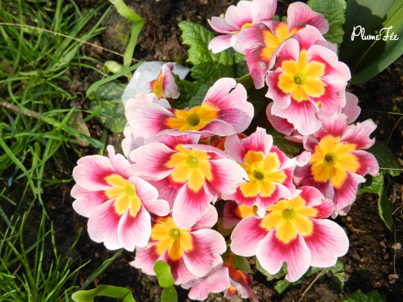 Image014.jpg