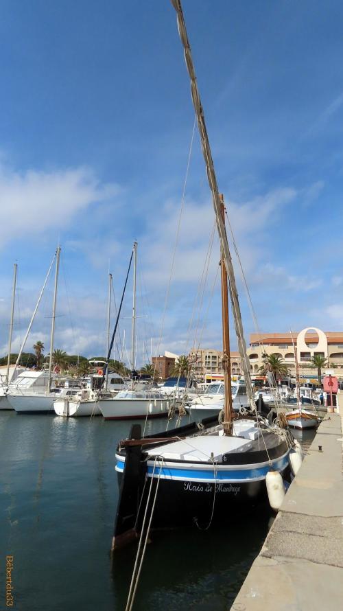 la presqu'île de Giens - 12