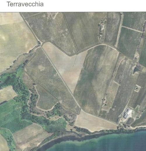 ALZITONE ET TERRAVECCHIA Corse