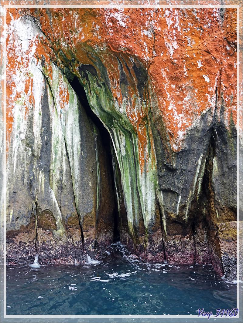 Au pays des merveilles : quand la nature fait dans l'abstrait - Nightingale Island - Tristan da Cunha