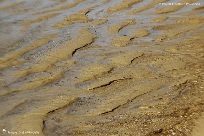 Sur le sable...