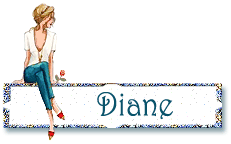 signatureanimee,femme en jean