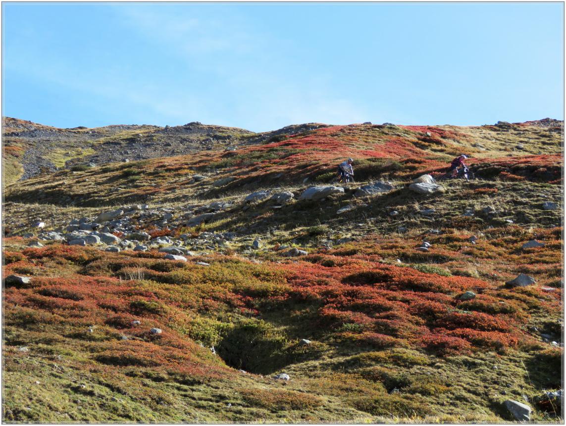 BALADE  D'AUTOMNE  2023