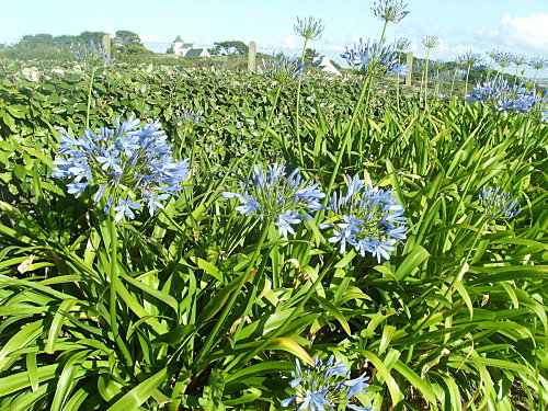 IMGP0257.JPG