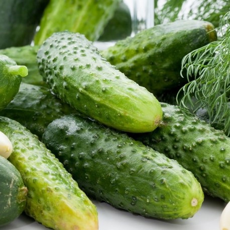 Légumes du mois de Juillet