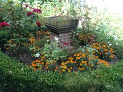 * Excursion à Lessines