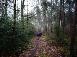 CR / RANDO 15 / ST-MEDARD-EN-JALLES