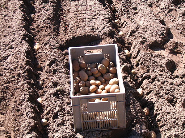 visite-batz-mars-2010 0976