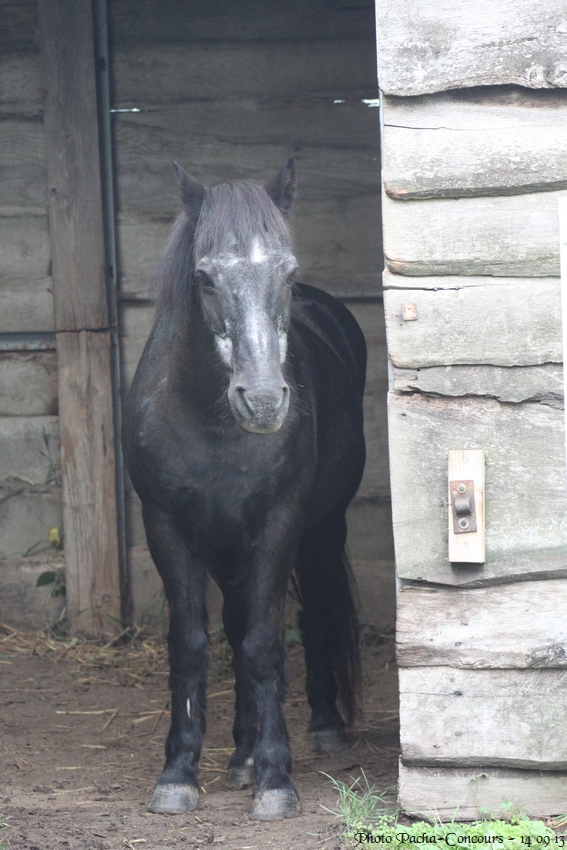 doudou & black 14/09/13