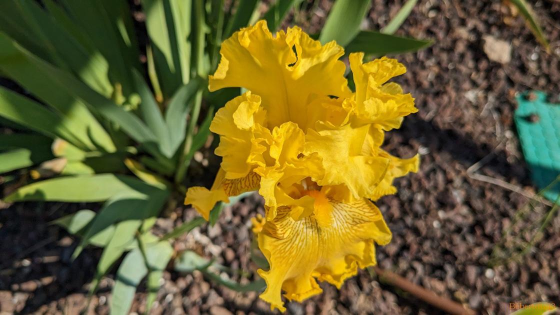 Suite pour aller à Hyères  -2