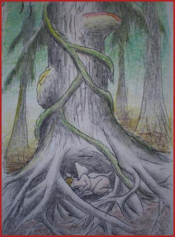 Nos Arbres.