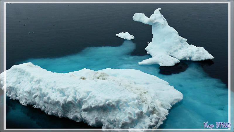 Derniers émerveillements dans la Mer des Tchouktches - Alaska