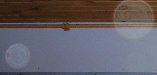 Les orbes ou les dimensions parallèles