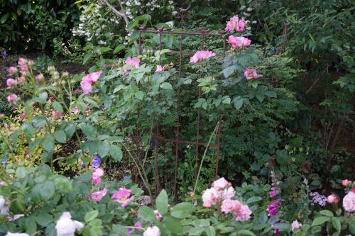C'est l'été dans le jardin de Patou