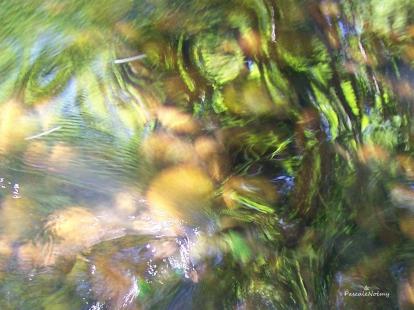 Les Emanants de Pascale