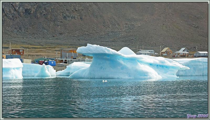 Débarquement à Grise Fiord (ᐊᐅᔪᐃᑦᑐᖅ ou Aujuittuq, le Village qui ne dégèle jamais) vu du navire - Ellesmere Island - Nunavut - Canada