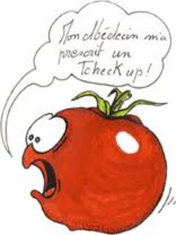 ketchup maison 