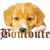 Bouloute