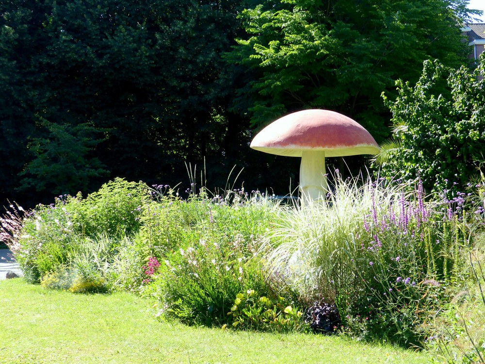 Fin juin, dans le Jardin des Plantes