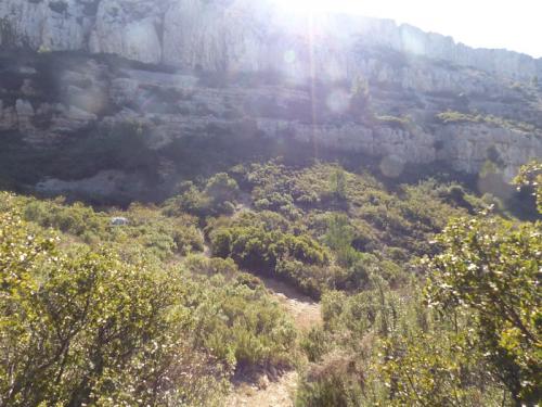 Taoumé par la source du chien