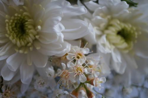 Un bouquet pour Chantilly