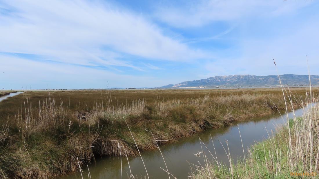 le parc naturel de l'Ebre