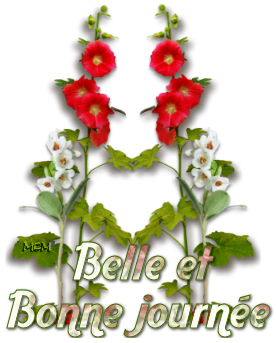 Ah ! ces fraises ...