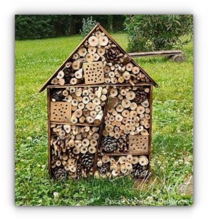 Hôtel à insectes
