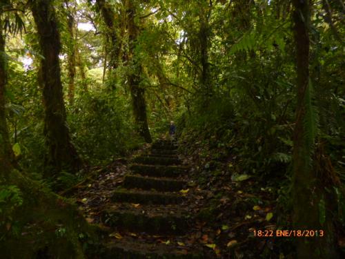 Réserve biologique de MONTEVERDE