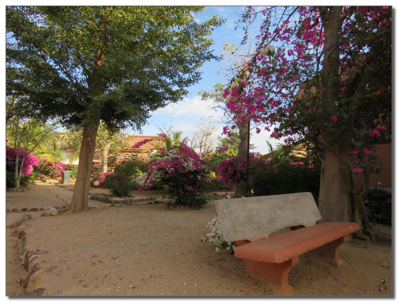 NOVEMBRE   DECEMBRE 2019  MON PETIT  PARADIS 