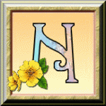 ღ꧁ღ╭⊱ꕥ  Divination ꕥ⊱╮ღ꧂ღ