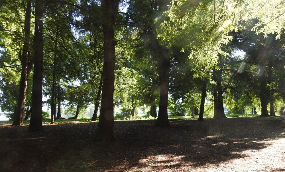 La Pointe des Vergnes, à Soustons...