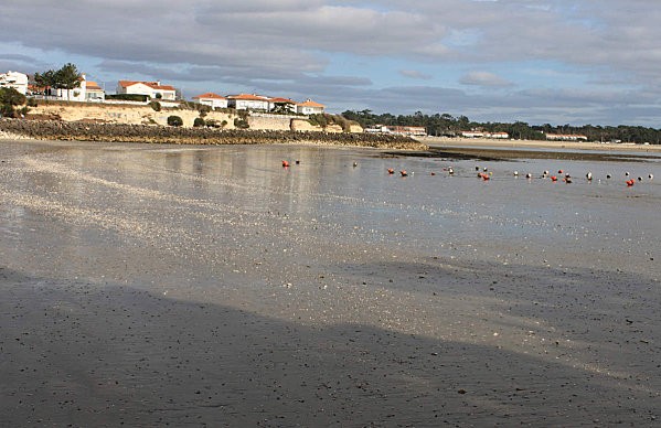 balade à st georges de didonne 10